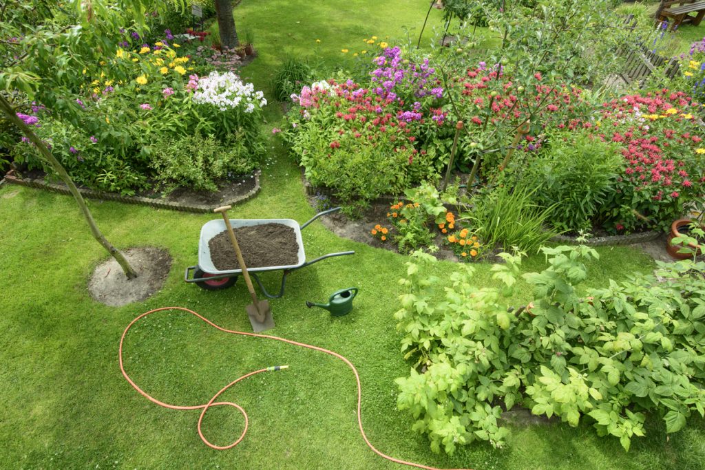 Garden - elevated view